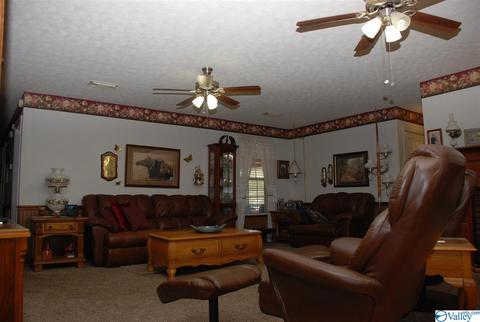 6967 County Road 43, Section, AL 35771 photo 11