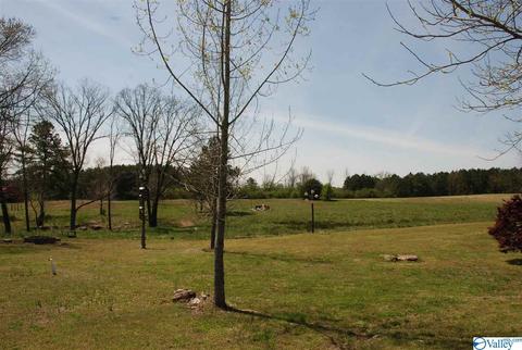 6967 County Road 43, Section, AL 35771 photo 7