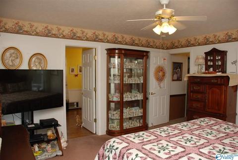 6967 County Road 43, Section, AL 35771 photo 23