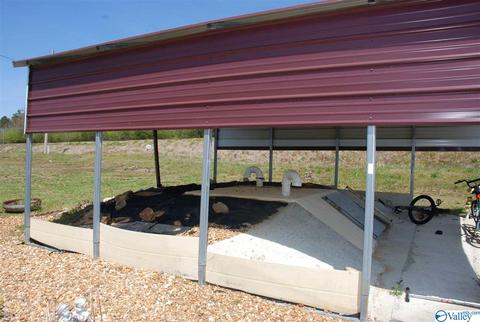 6967 County Road 43, Section, AL 35771 photo 10