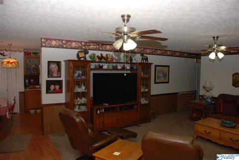 6967 County Road 43, Section, AL 35771 photo 13