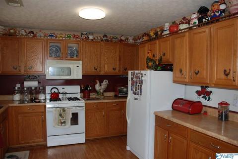 6967 County Road 43, Section, AL 35771 photo 18