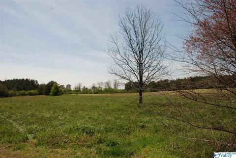 6967 County Road 43, Section, AL 35771 photo 8