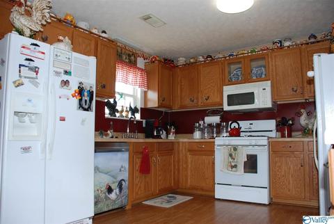 6967 County Road 43, Section, AL 35771 photo 17