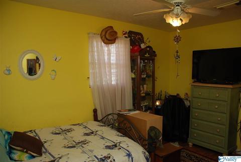 6967 County Road 43, Section, AL 35771 photo 32