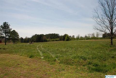 6967 County Road 43, Section, AL 35771 photo 9
