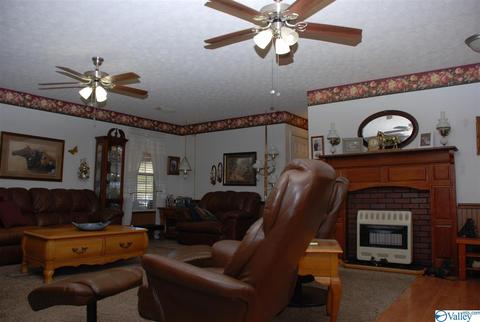 6967 County Road 43, Section, AL 35771 photo 12