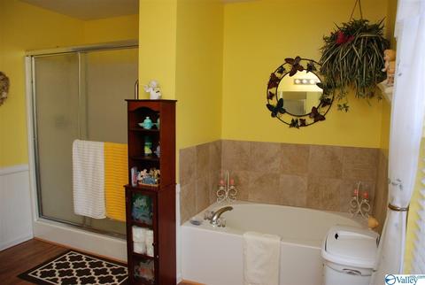 6967 County Road 43, Section, AL 35771 photo 24
