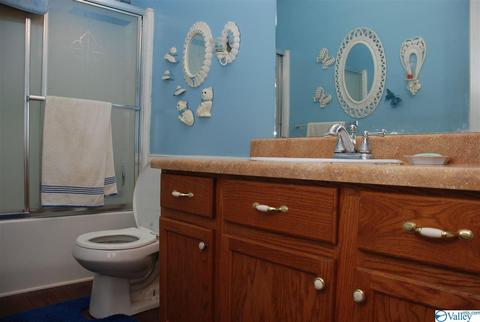 6967 County Road 43, Section, AL 35771 photo 36