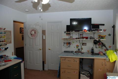 6967 County Road 43, Section, AL 35771 photo 30