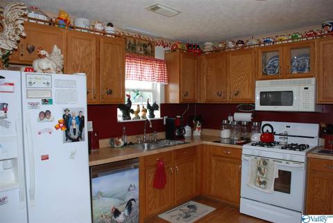 6967 County Road 43, Section, AL 35771 photo 16