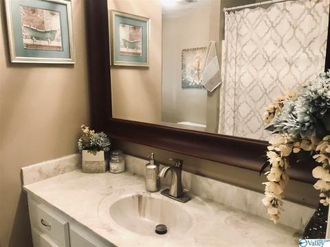 450 Valley Rd, Oneonta, AL 35121 photo 10