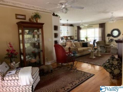 802 E Haven Dr, Glencoe, AL 35905 photo 4