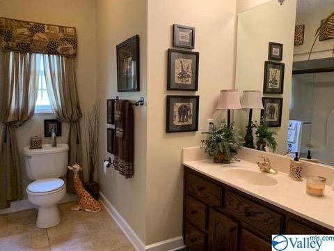 802 E Haven Dr, Glencoe, AL 35905 photo 11