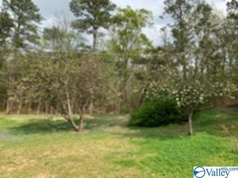 802 E Haven Dr, Glencoe, AL 35905 photo 17
