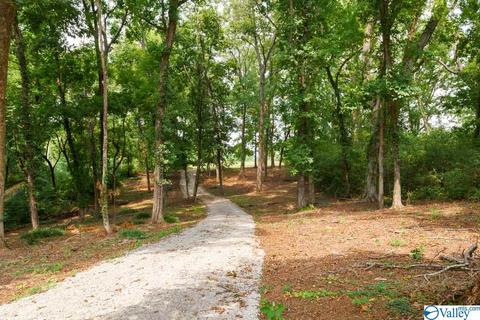 200 County Road 33, Killen, AL 35645 photo 3