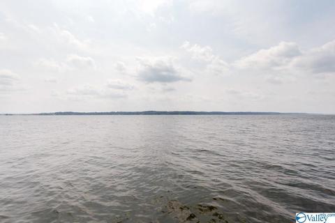 200 County Road 33, Killen, AL 35645 photo 42