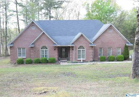 503 N Mountain Dr, Trinity, AL 35673 photo 1
