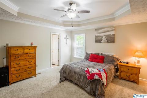 86 Seneca Springs Dr, Trinity, AL 35673 photo 12