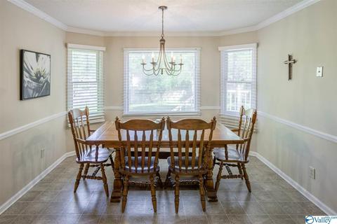 86 Seneca Springs Dr, Trinity, AL 35673 photo 9