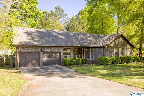 86 Seneca Springs Dr, Trinity, AL 35673 photo 1