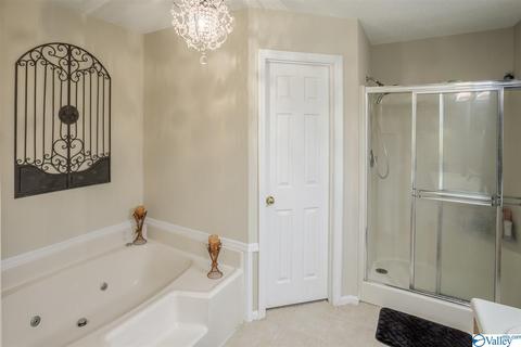 86 Seneca Springs Dr, Trinity, AL 35673 photo 15