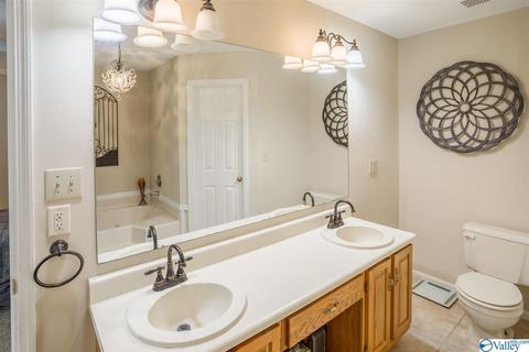 86 Seneca Springs Dr, Trinity, AL 35673 photo 14