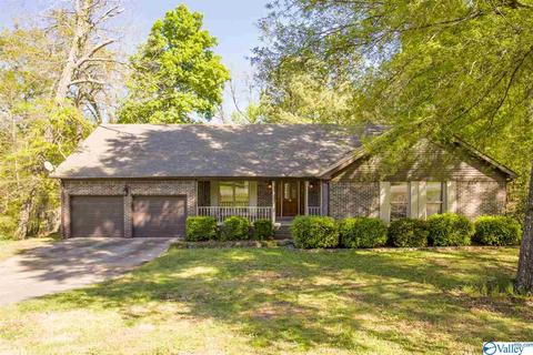 86 Seneca Springs Dr, Trinity, AL 35673 photo 2