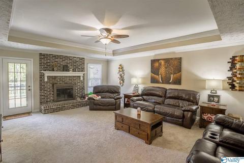 86 Seneca Springs Dr, Trinity, AL 35673 photo 5