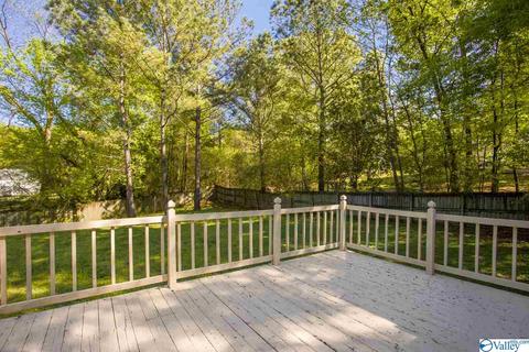 86 Seneca Springs Dr, Trinity, AL 35673 photo 19