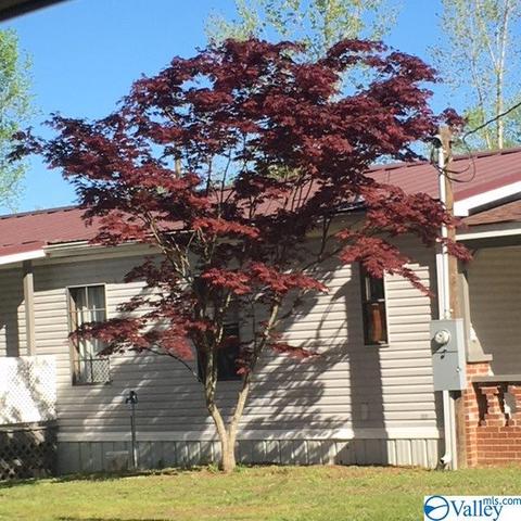 21625 Easter Ferry Rd, Elkmont, AL 35620 photo 15