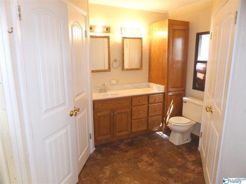 21625 Easter Ferry Rd, Elkmont, AL 35620 photo 8