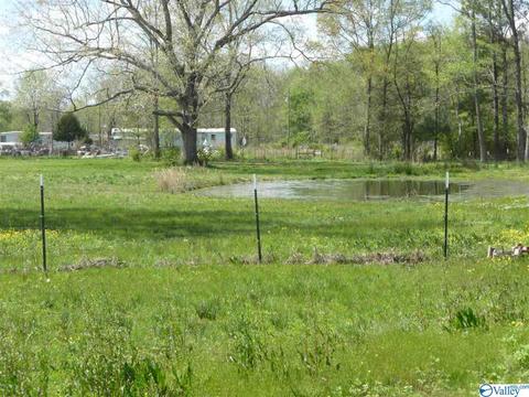 21625 Easter Ferry Rd, Elkmont, AL 35620 photo 28