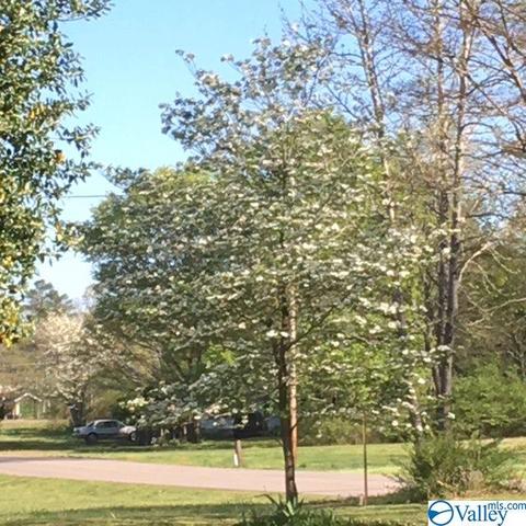 21625 Easter Ferry Rd, Elkmont, AL 35620 photo 20