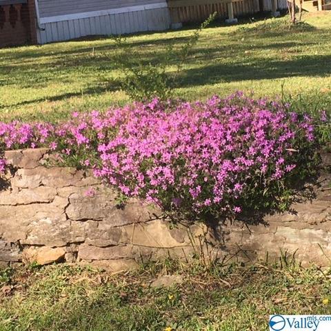 21625 Easter Ferry Rd, Elkmont, AL 35620 photo 19