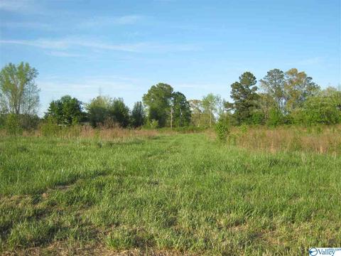 4830 Cox Gap Rd, Boaz, AL 35956 photo 17