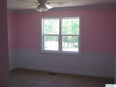 4830 Cox Gap Rd, Boaz, AL 35956 photo 8