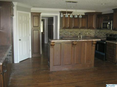 4830 Cox Gap Rd, Boaz, AL 35956 photo 3