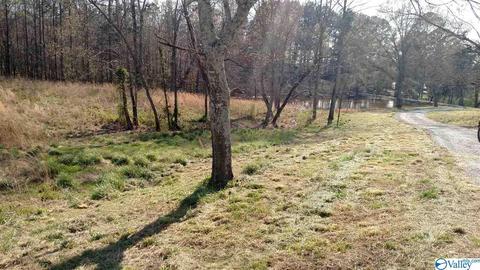4830 Cox Gap Rd, Boaz, AL 35956 photo 18