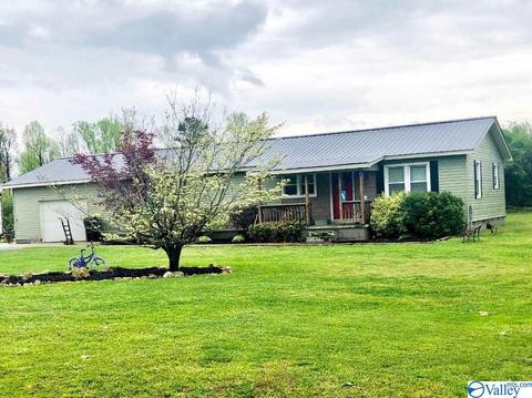 916 County Road 384, Dutton, AL 35744 photo 1