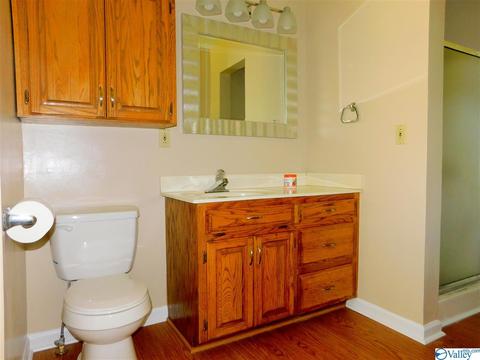 194 Progress Ln, Centre, AL 35960 photo 32