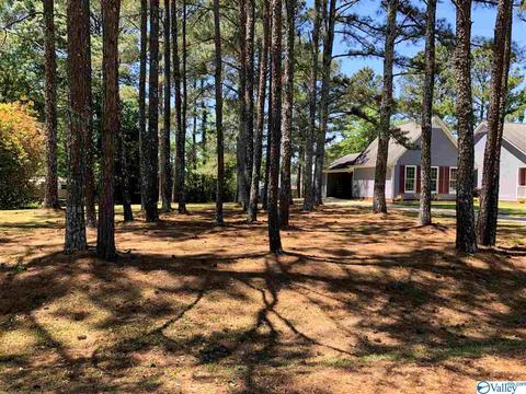 194 Progress Ln, Centre, AL 35960 photo 43