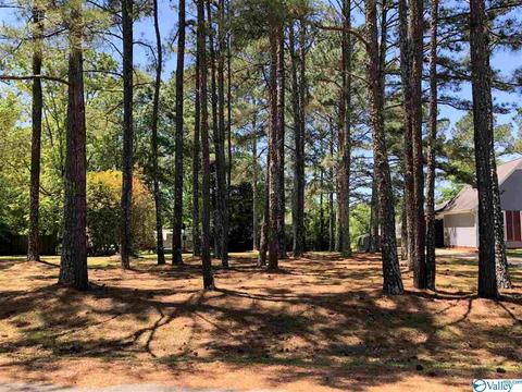 194 Progress Ln, Centre, AL 35960 photo 44