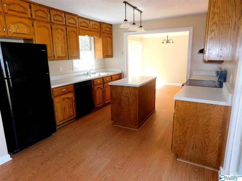 194 Progress Ln, Centre, AL 35960 photo 5