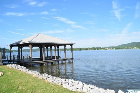 171 Willow Point Dr, Ohatchee, AL 36271 photo 41