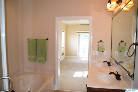 171 Willow Point Dr, Ohatchee, AL 36271 photo 15