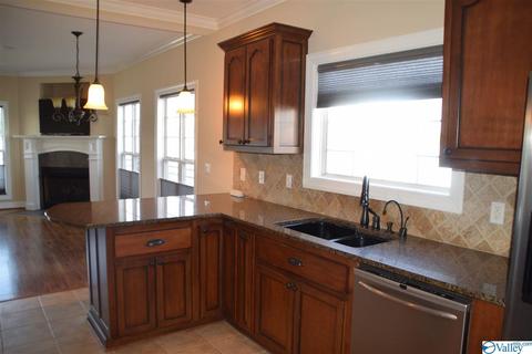 171 Willow Point Dr, Ohatchee, AL 36271 photo 10