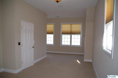 171 Willow Point Dr, Ohatchee, AL 36271 photo 23