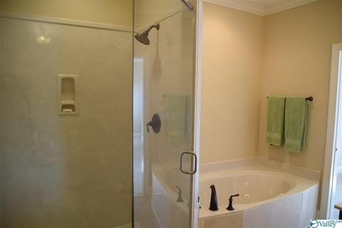 171 Willow Point Dr, Ohatchee, AL 36271 photo 16