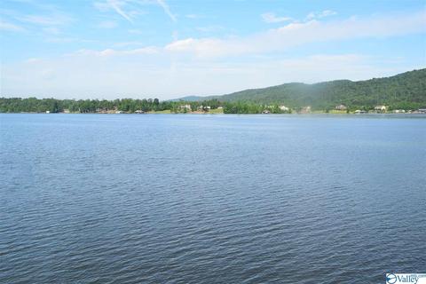 171 Willow Point Dr, Ohatchee, AL 36271 photo 35